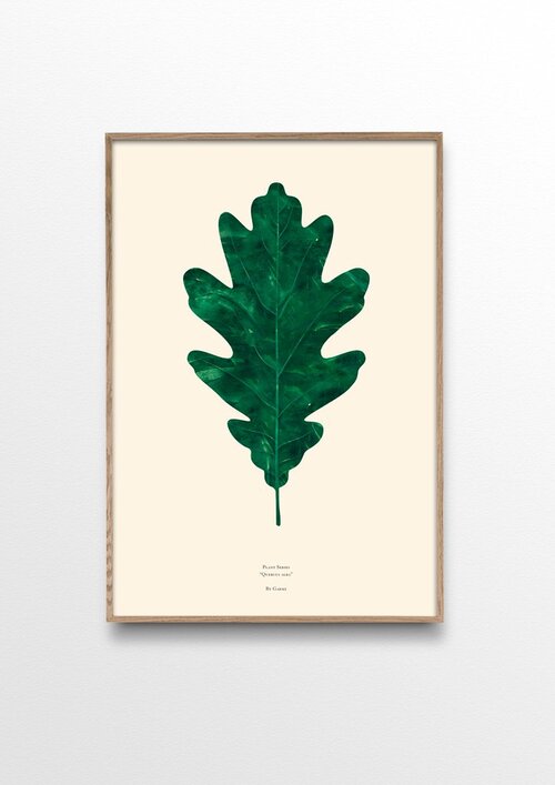 Plant Series Quercus Alba ( Oak Leaf ) - Plakatcph.com - posters, posters and home designs