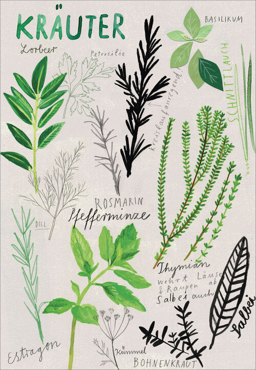 Herbs A3 poster - Plakatcph.com - posters, posters and home design