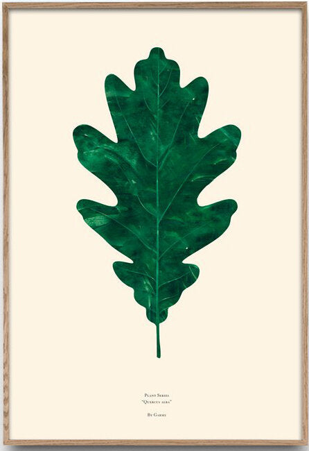 Plant Series Quercus Alba ( Oak Leaf ) - Plakatcph.com - posters, posters and home designs