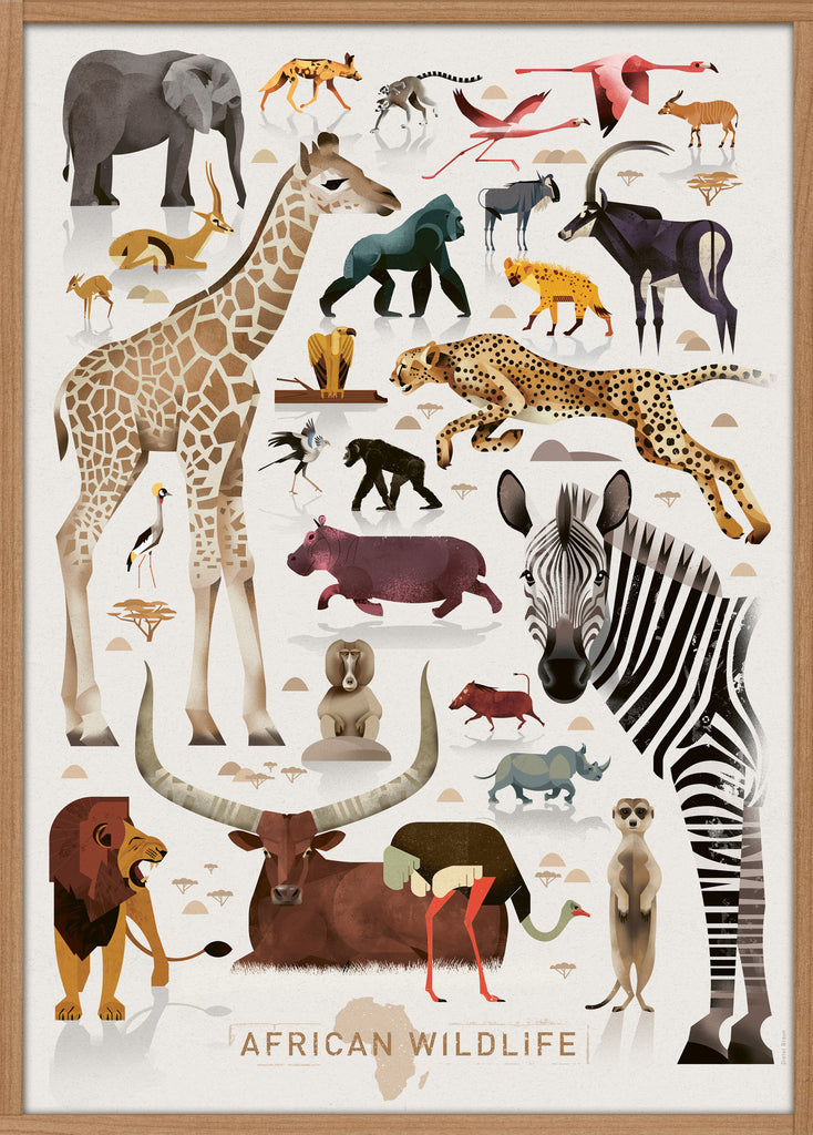 Africa animal poster - postercph - Plakatcph.com - posters, posters and home design