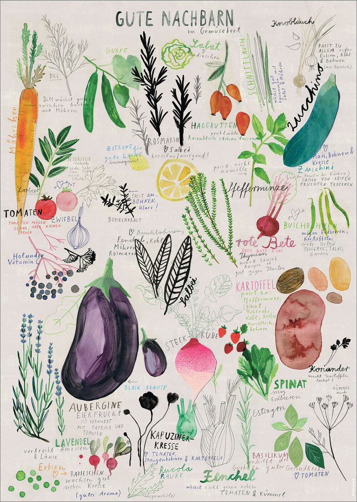 Vegetables (A3) Poster - Plakatcph.com - posters, posters and home designs