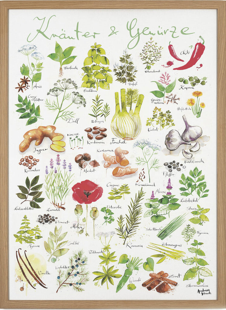 Herbal/spice poster - Plakatcph.com - posters, posters and home designs
