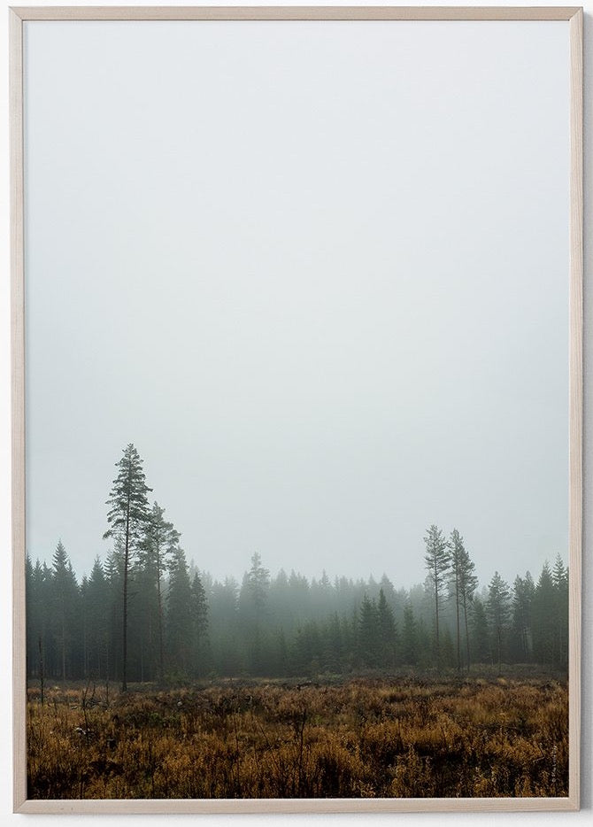 Forest Silence Photo Poster - Plakatcph.com - posters, posters and home designs